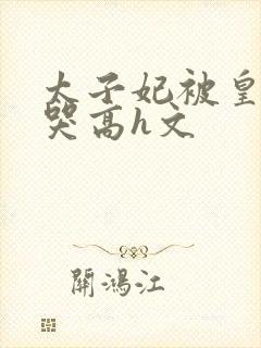 太子妃被皇上c哭高h文