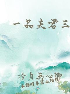 一品夫君三流妻