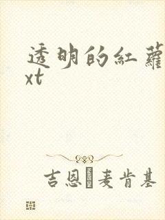 透明的红萝卜txt