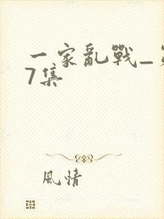 一家乱战_第07集