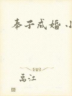 奉子成婚 小说