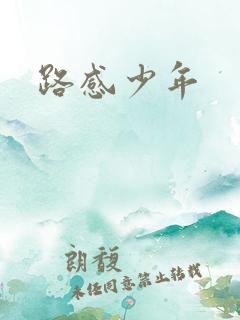 路感少年