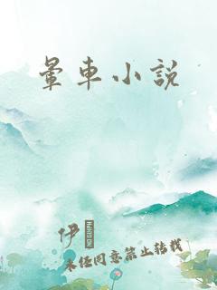 晕车小说