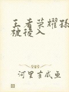 王者荣耀孙尚香被后入