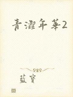 青涩年华2