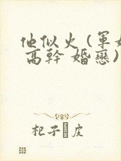 他似火 (军婚 高干 婚恋)