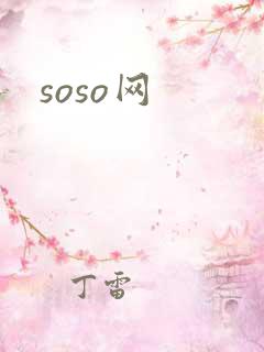 soso网