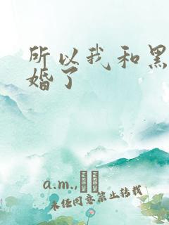 所以我和黑粉结婚了
