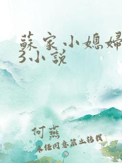 苏家小媳妇1V3小说
