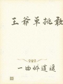 王爷单挑敢不敢