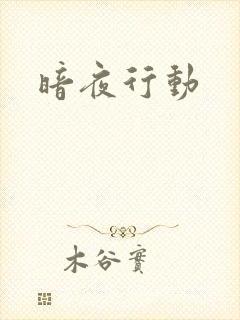 暗夜行动