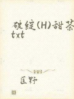破绽(H)甜茶txt