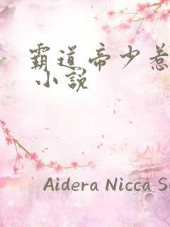 霸道帝少惹不得 小说