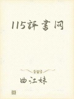 115评书网