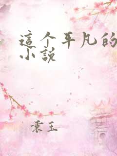 这个平凡的男子小说