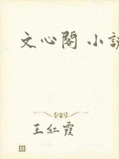 文心阁 小说
