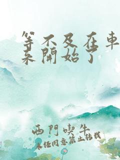 等不及在车里就来开始了