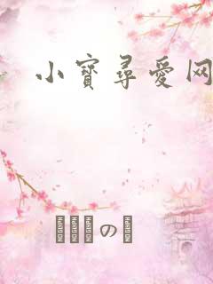 小宝寻爱网址
