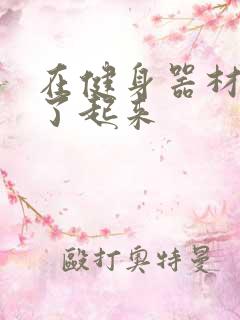 在健身器材上做了起来