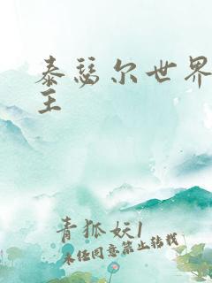 泰瑟尔世界之领主