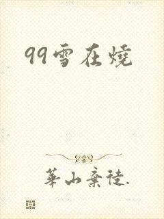 99雪在烧