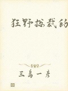 狂野总裁的女人