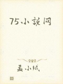 75小说网
