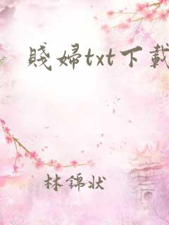 贱妇txt下载