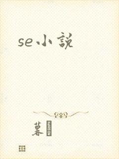 se小说