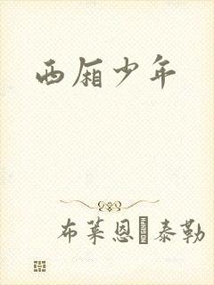 西厢少年