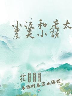 小流和老太69农夫小说