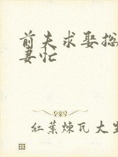 前夫求娶总裁追妻忙