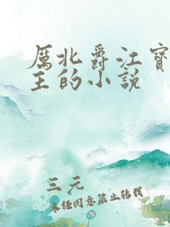 厉北爵江宝宝男主的小说