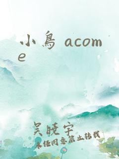 小鸟 acome