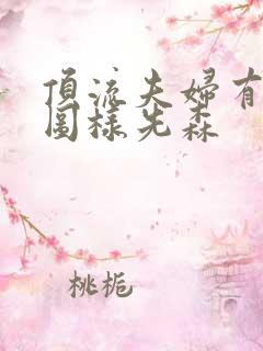 顶流夫妇有点甜图样先森