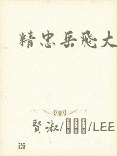 精忠岳飞大结局