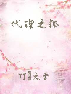 代理之狐