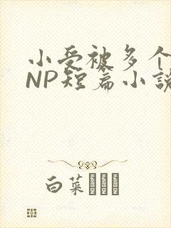 小受被多个攻强NP短篇小说