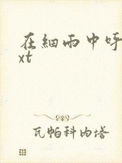 在细雨中呼喊txt