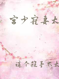 宫少宠妻太凶猛