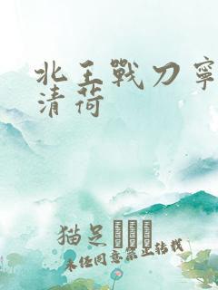 北王战刀宁北苏清荷