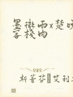 墨微雨x楚晚宁客栈肉