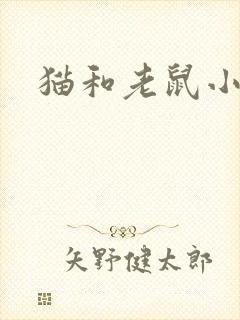 猫和老鼠小说