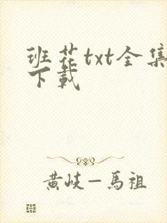 班花txt全集下载