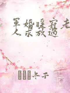 军婚暖宠老公大人求放过
