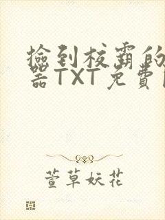 捡到校霸的遥控器TXT免费阅读