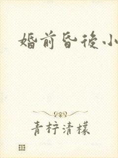 婚前昏后小说