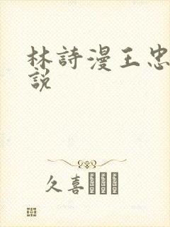 林诗漫王忠文小说