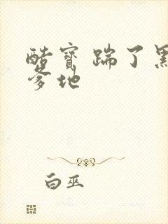 酷宝 踹了黑道爹地