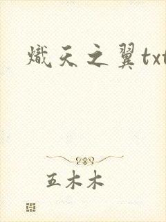 炽天之翼txt